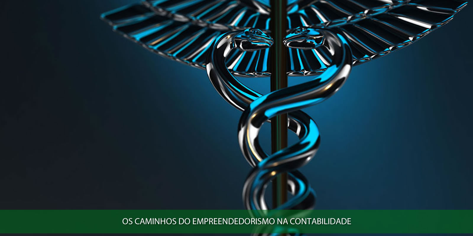 Figura 3 - EMPREENDEDORISMO NA CONTABILIDADE. O PRÓXIMO PASSO DA PROFISSÃO